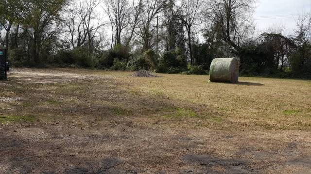 0 Foster Ranch Road, Trinidad, TX 75163