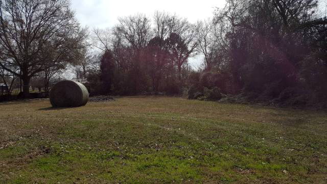 0 Foster Ranch Road, Trinidad, TX 75163