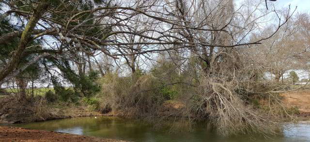 0 Foster Ranch Road, Trinidad, TX 75163