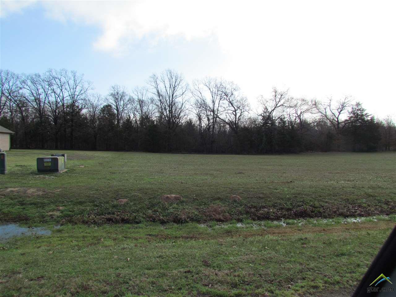 Lot 14 &amp; 15 PR 5517, Alba, TX 75410