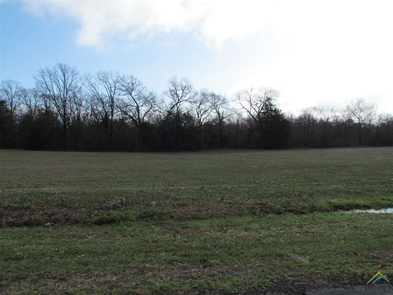 Lot 12 & 13 PR 5517, Alba, TX 75410