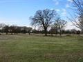 Lot 80 Private Road 5938, Emory, TX 75440