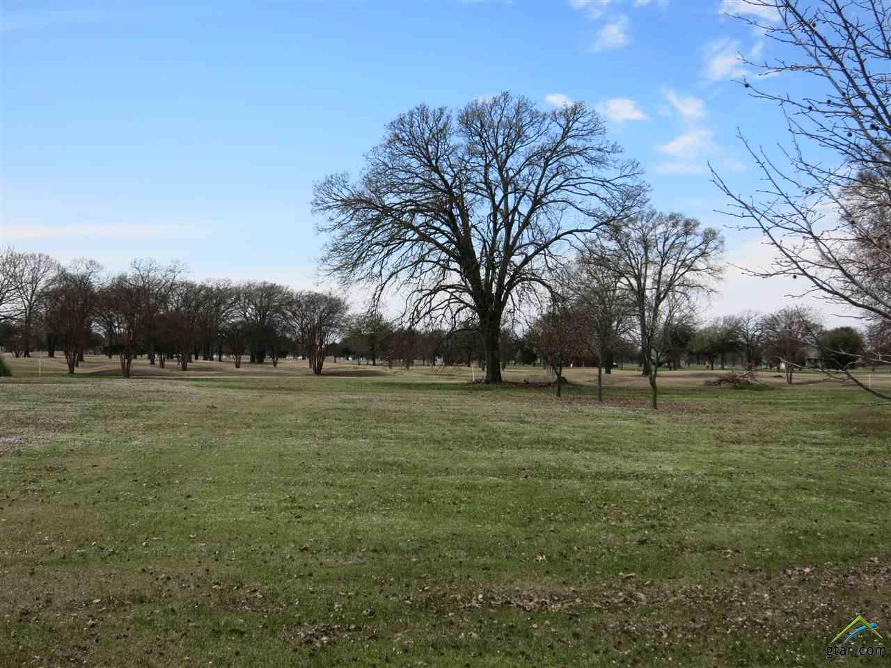 Lot #80 PR 5938, Emory, TX 75440