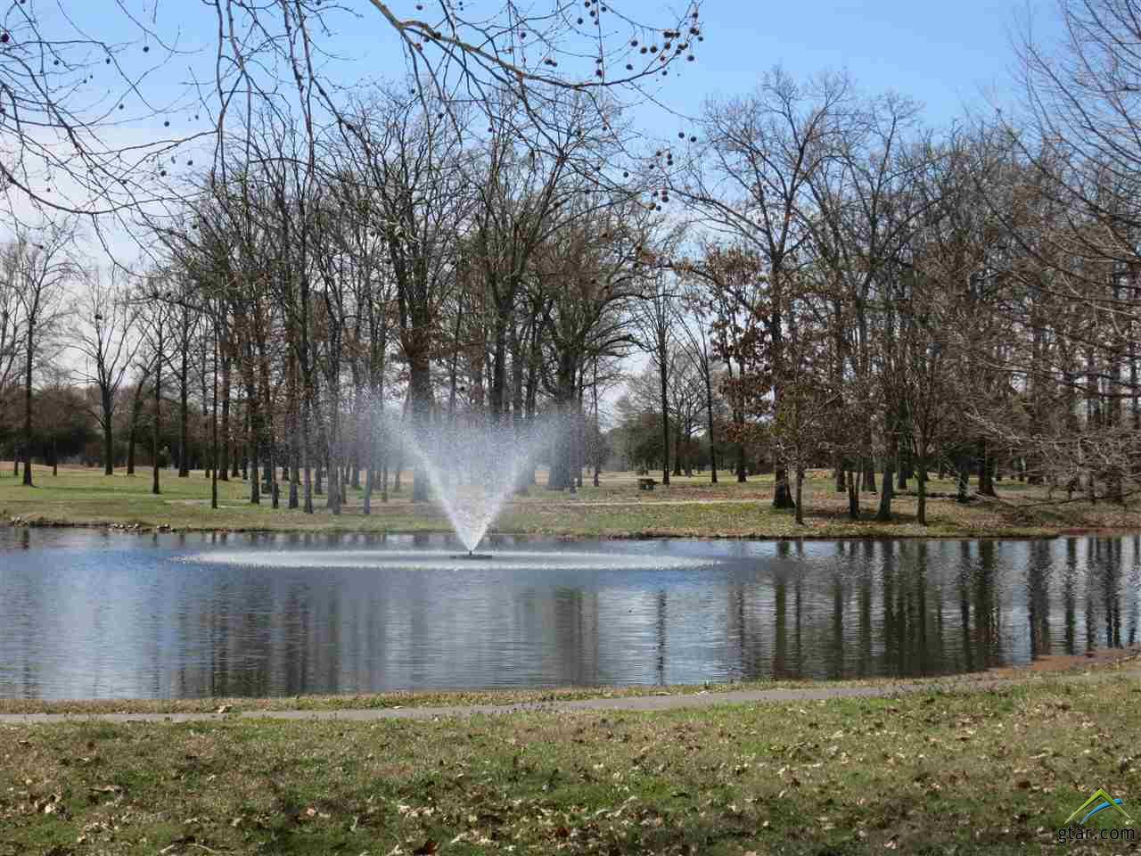 Lot #80 PR 5938, Emory, TX 75440
