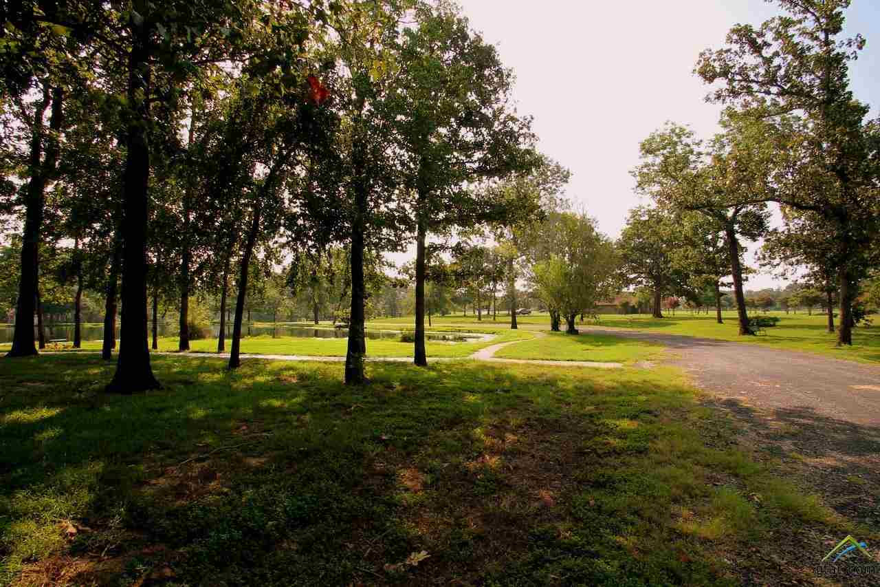 Lot 65 Fairway Drive, Emory, TX 75440
