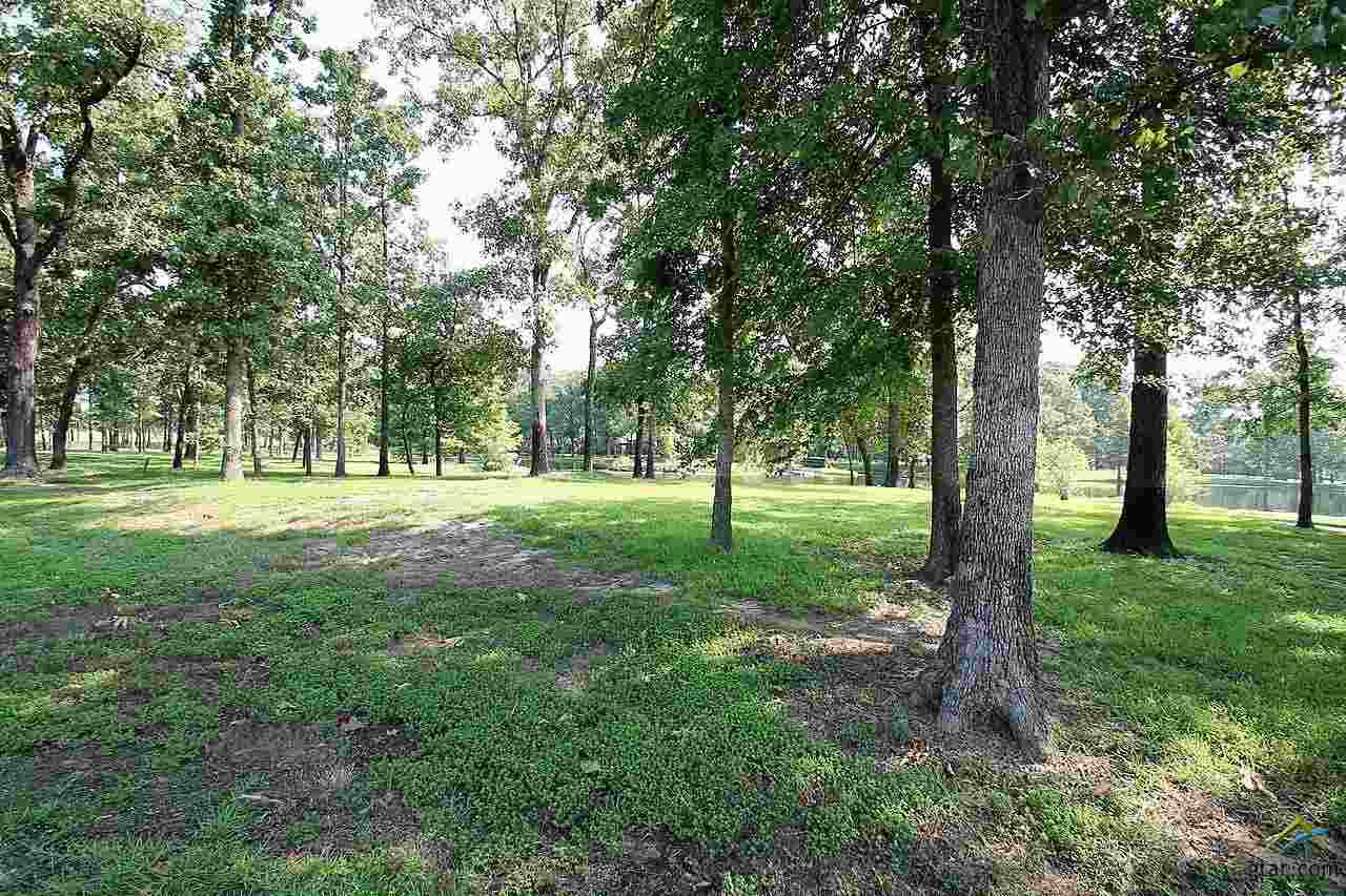 Lot 65 Fairway Drive, Emory, TX 75440