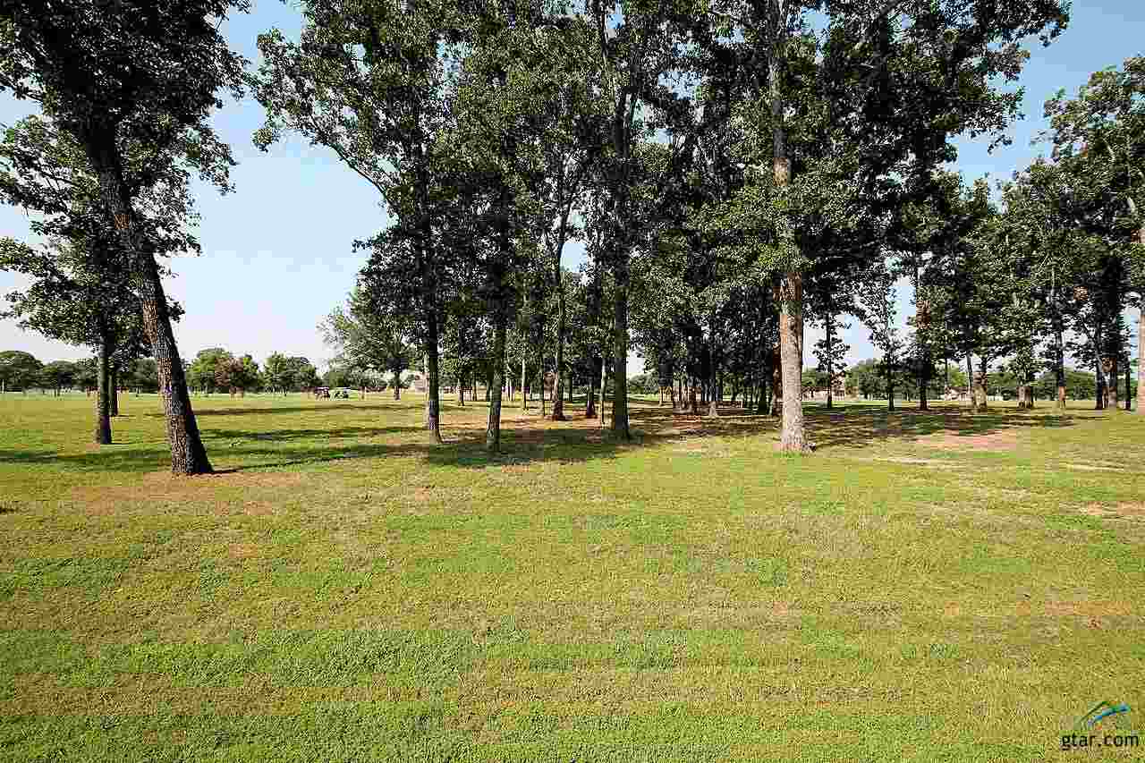Lot 65 Fairway Drive, Emory, TX 75440