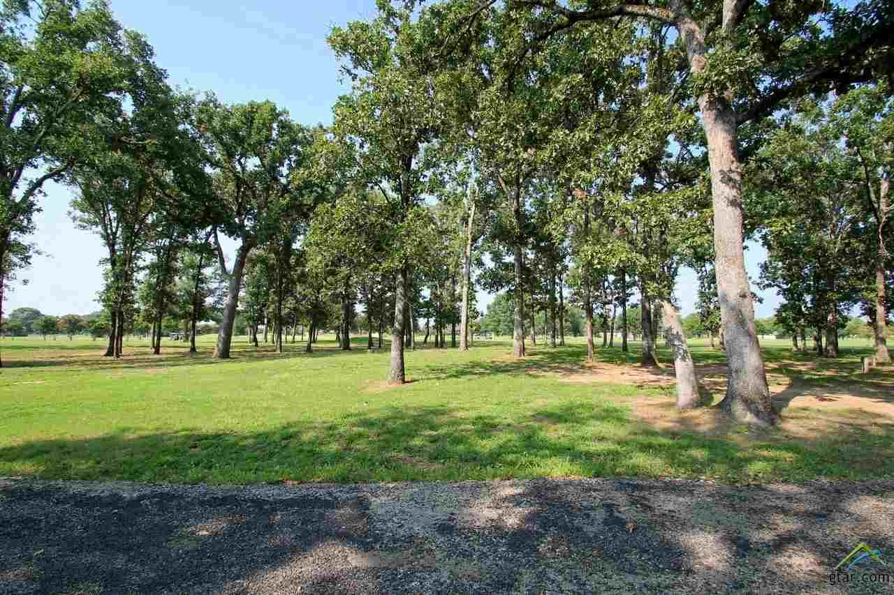 Lot 64 Fairway Drive, Emory, TX 75440