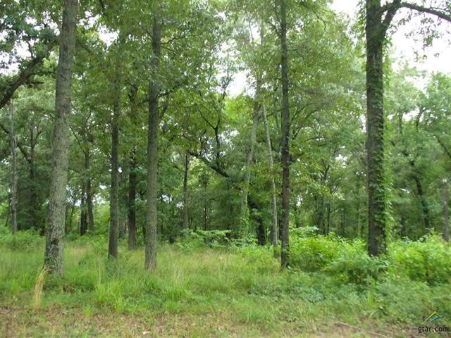 0 County Road 1945, Emory, TX 75440