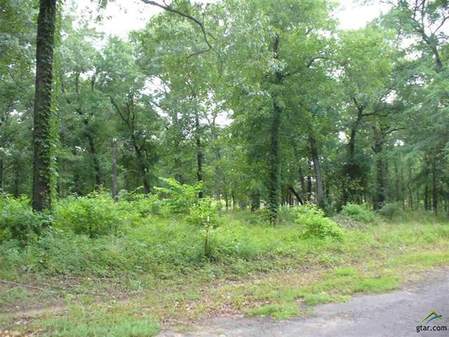 0 County Road 1945, Emory, TX 75440