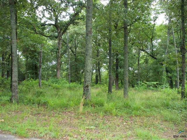0 County Road 1945, Emory, TX 75440