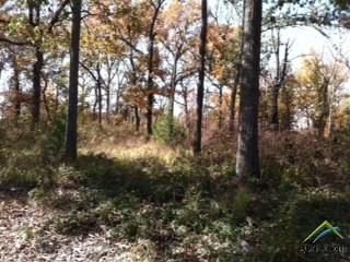 0 County Road 1945, Emory, TX 75440