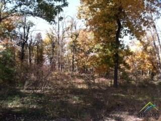 0 County Road 1945, Emory, TX 75440