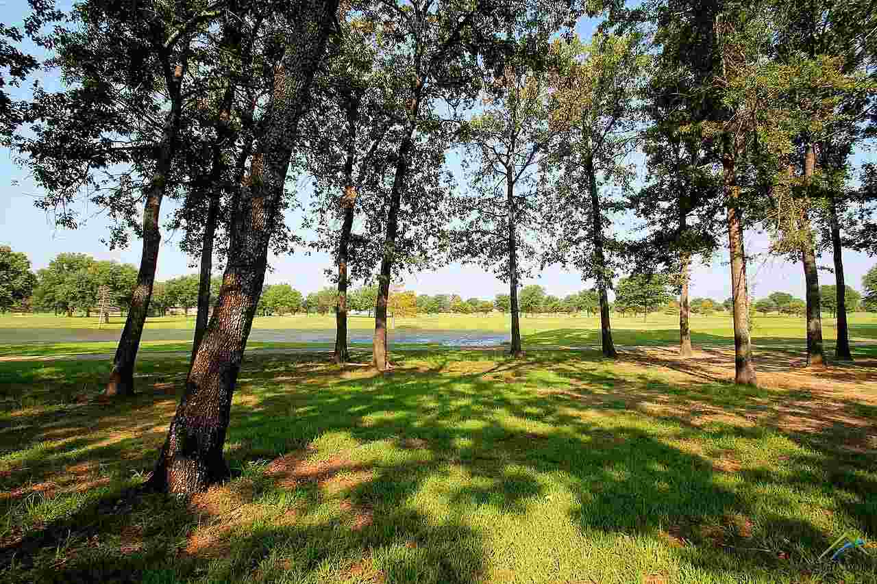 Lot 63 Fairway Drive, Emory, TX 75440