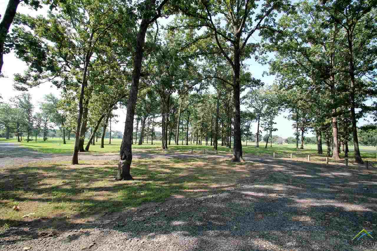 Lot 63 Fairway Drive, Emory, TX 75440