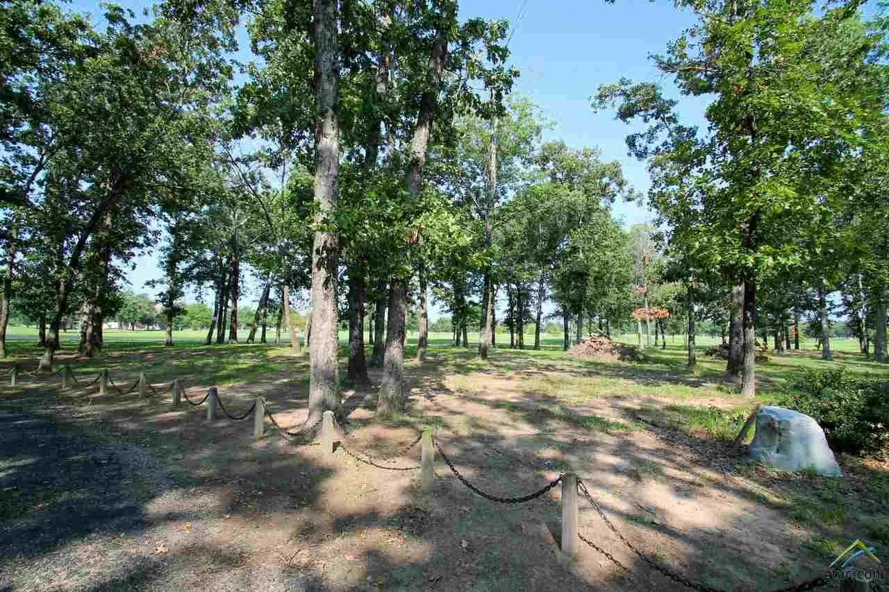 Lot 63 Fairway Drive, Emory, TX 75440