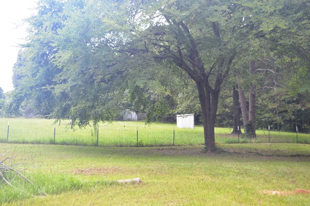 881 CR 2418, Leesburg, TX 75451