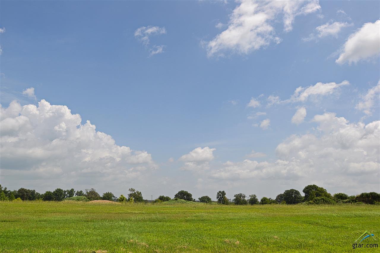2706 Stone Briar, Mt Pleasant, TX 75455