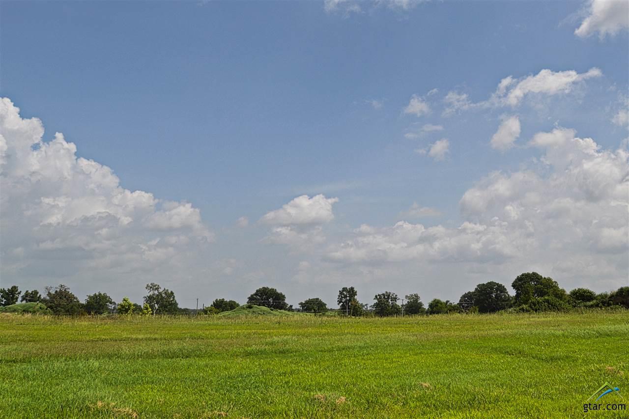 2706 Stone Briar, Mt Pleasant, TX 75455