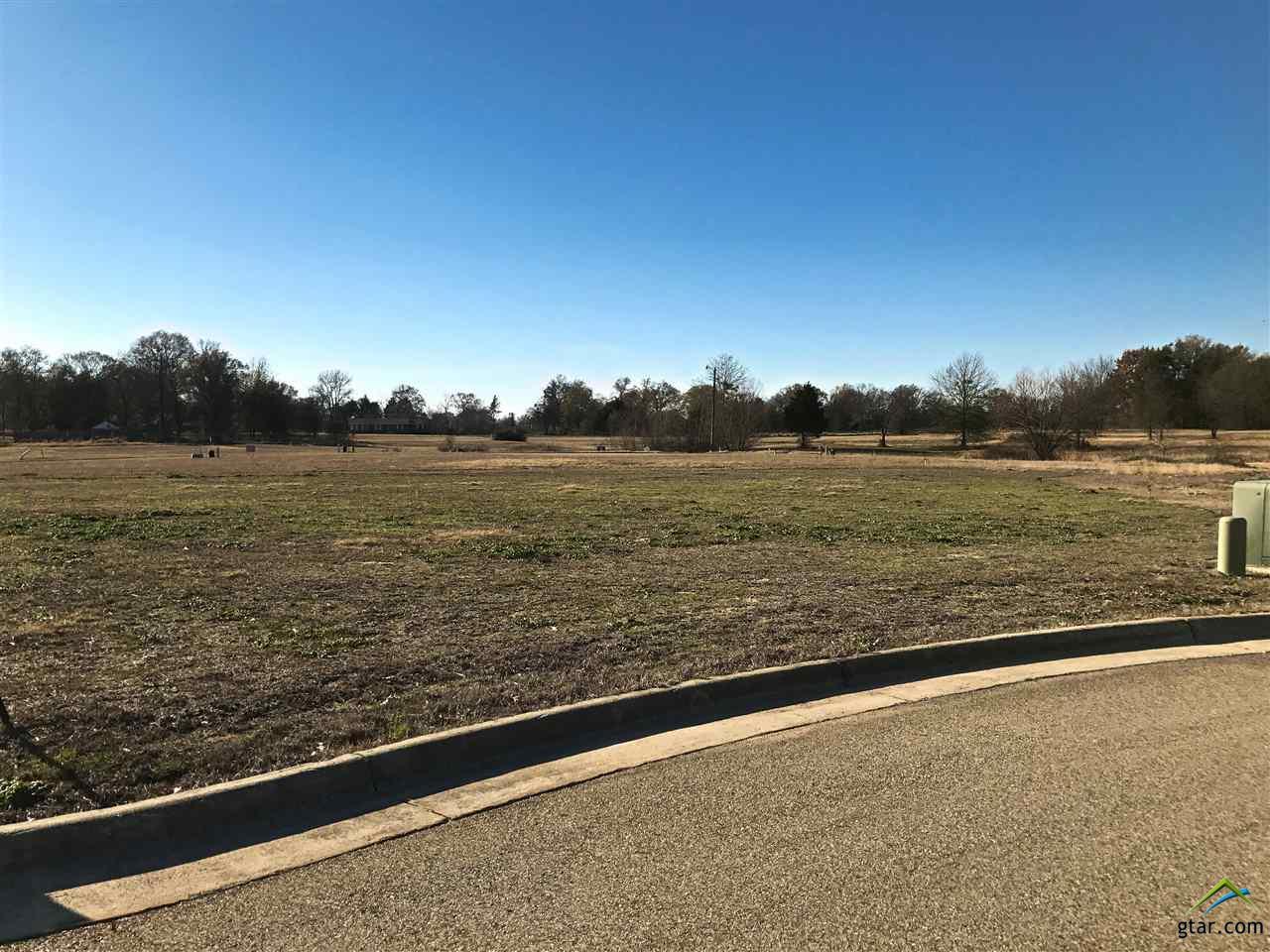 2831 Kingfisher Ln, Mt Pleasant, TX 75455