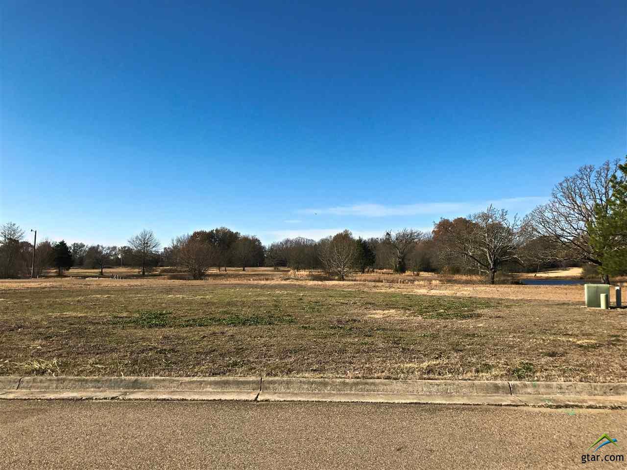 2831 Kingfisher Ln, Mt Pleasant, TX 75455