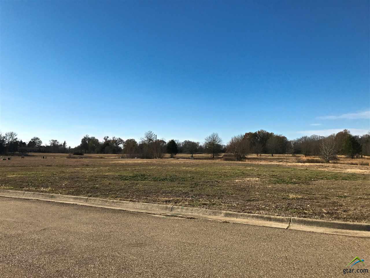 2831 Kingfisher Ln, Mt Pleasant, TX 75455