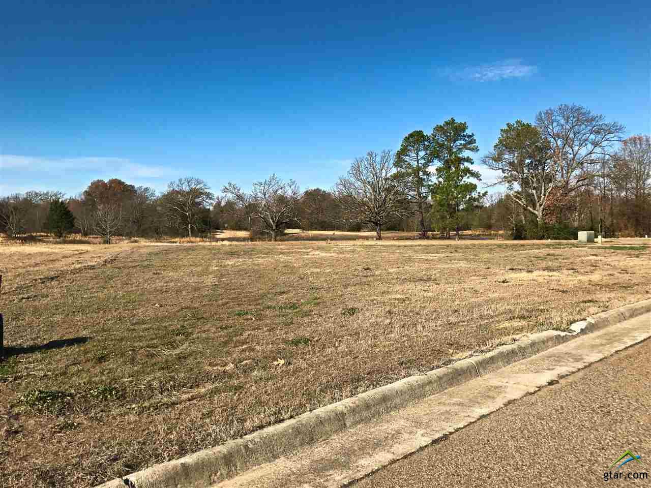 2831 Kingfisher Ln, Mt Pleasant, TX 75455