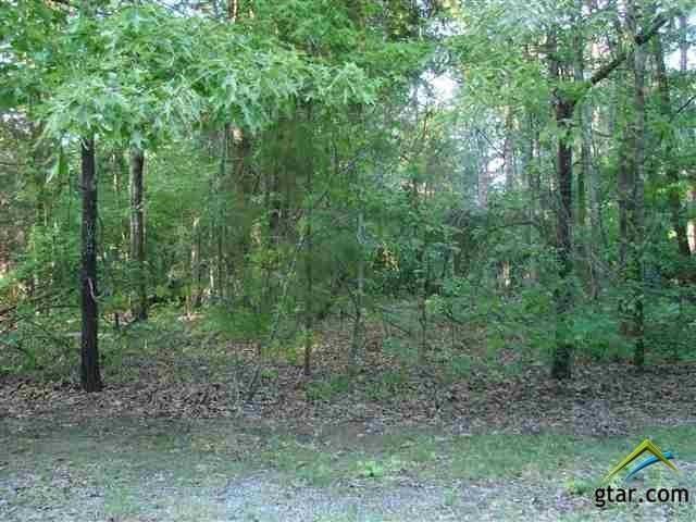 Lot 13 CR 4936, Mount Vernon, TX 75457