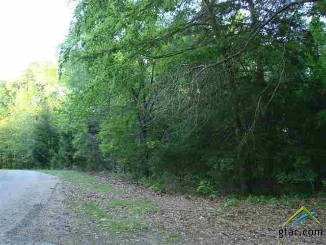 Lot 13 CR 4936, Mount Vernon, TX 75457