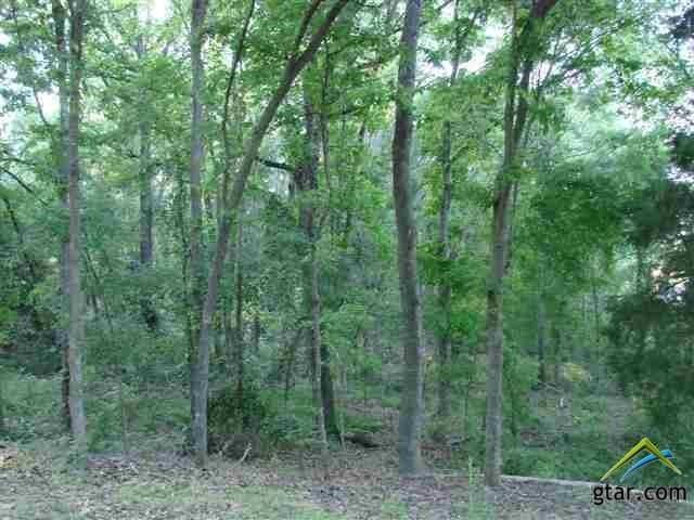 Lot 13 CR 4936, Mount Vernon, TX 75457