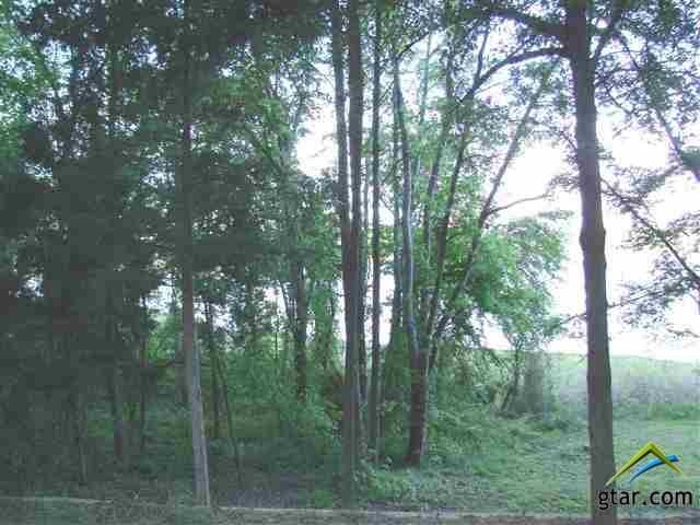 Lot 13 County Road 4396, Mt Vernon, TX 75457