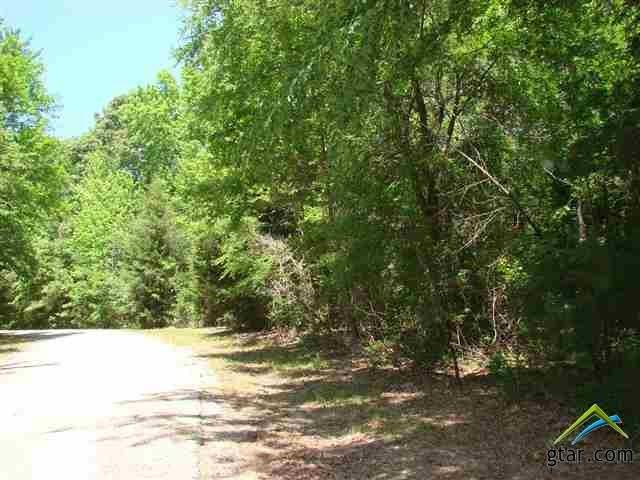 Lot 13 County Road 4396, Mt Vernon, TX 75457