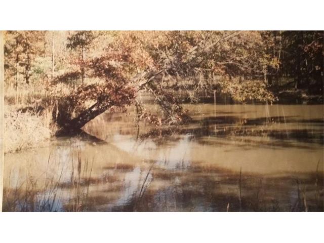 Ab 193 E graves 42.320 acres, Mount Vernon, TX 75457