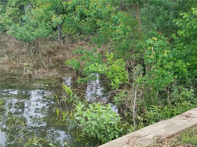 Tbd SE 4225, Mount Vernon, TX 75457