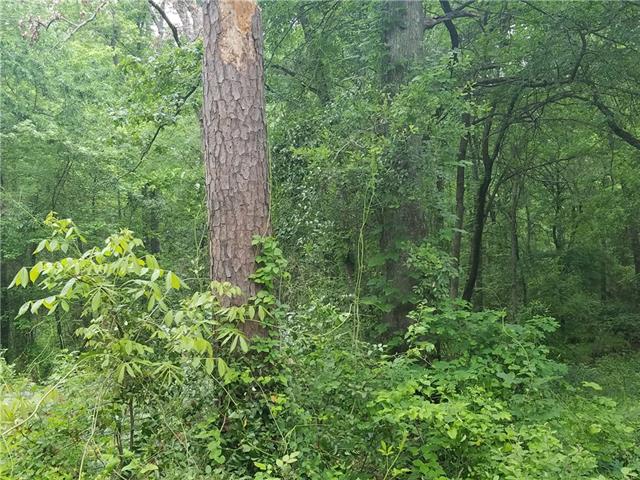 Tbd SE 4225, Mount Vernon, TX 75457