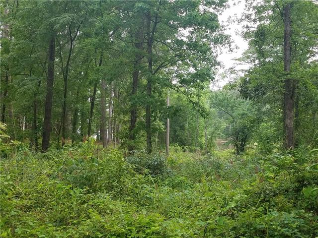 Tbd SE 4225, Mount Vernon, TX 75457