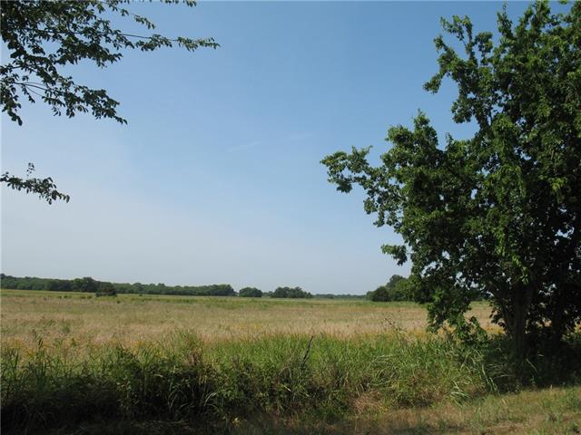 Tbd Fm 274, Ravenna, TX 75476