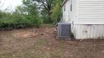 1636 COUNTY ROAD 1807 ,TX, Yantis, 75497