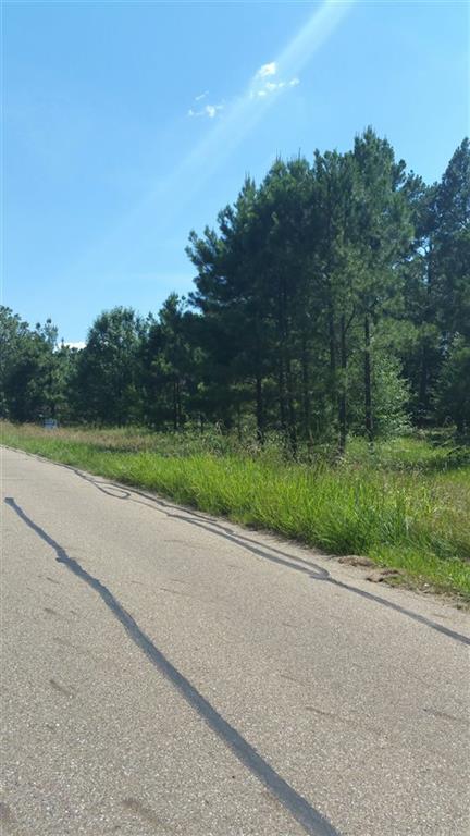 Lot 4 Lakeridge, Texarkana, TX 75503
