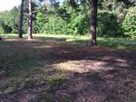 563 COUNTY ROAD 2203 ,TX, Hooks, 75561