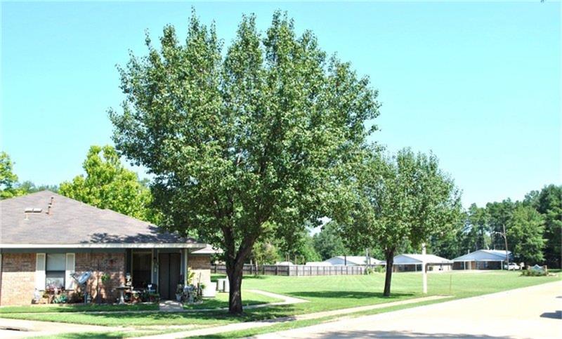 806 E Houston Street, Queen City, TX 75572
