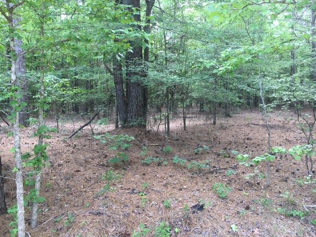 485 Mattox Rd, Longview, TX 75605