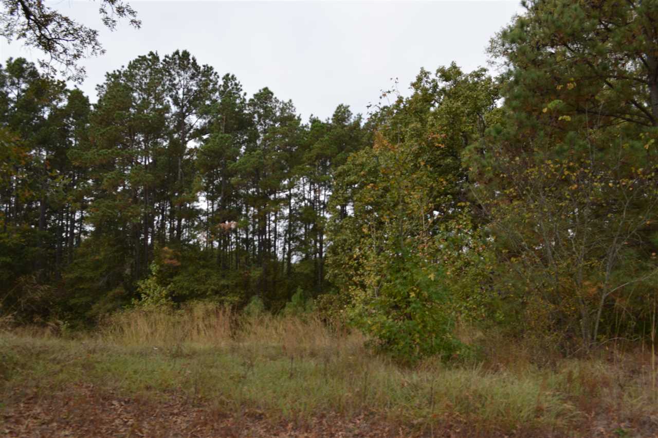 TBD FM 729, Avinger, TX 75630