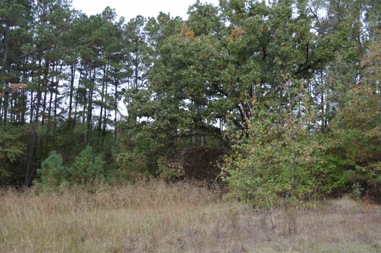 TBD FM 729, Avinger, TX 75630