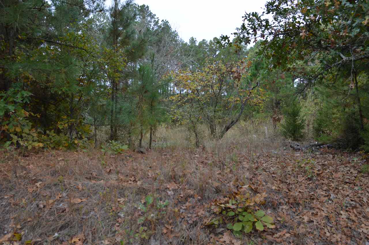 TBD FM 729, Avinger, TX 75630