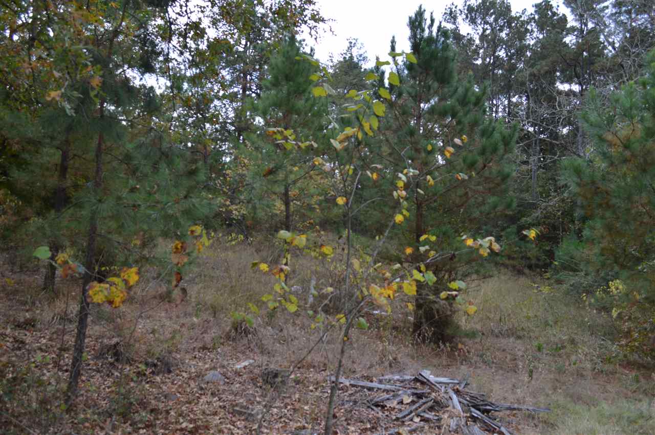 TBD FM 729, Avinger, TX 75630