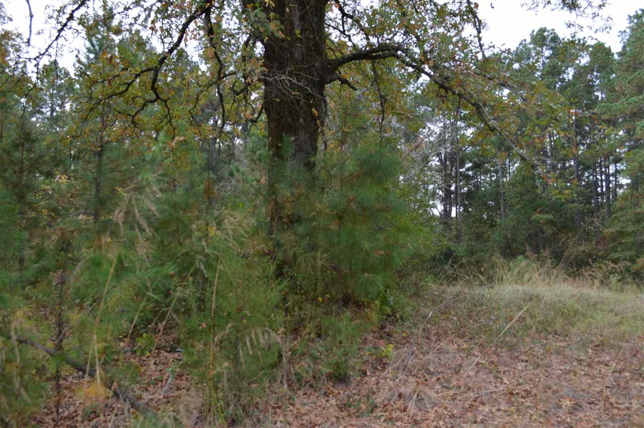 TBD FM 729, Avinger, TX 75630