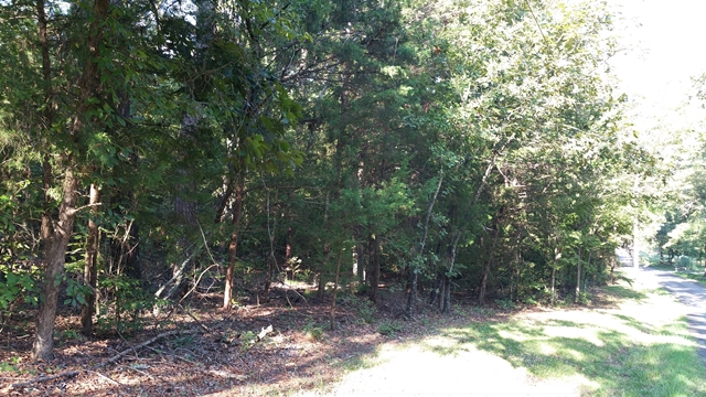 TBD CR 2101 Mountain Dr, Daingerfield, TX 75638