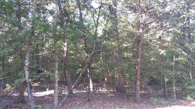 TBD CR 2101 Mountain Dr, Daingerfield, TX 75638