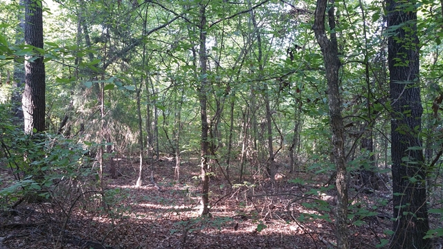TBD CR 2101 Mountain Dr, Daingerfield, TX 75638